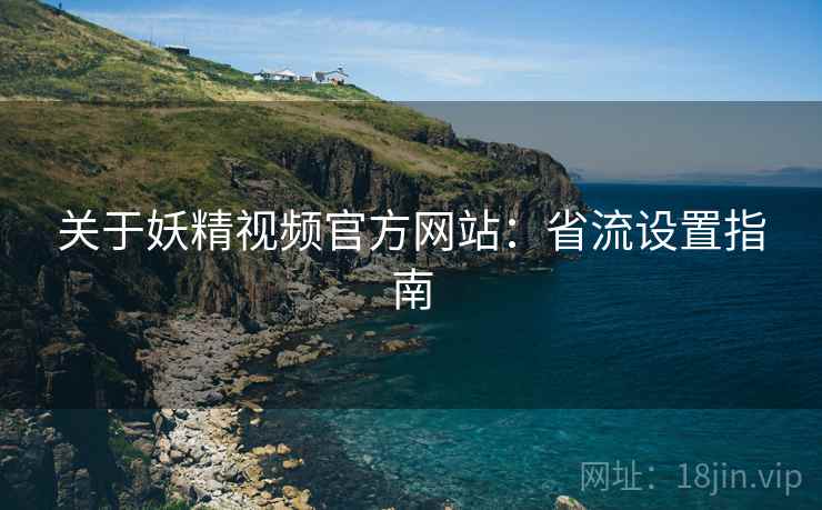 关于妖精视频官方网站:省流设置指南 关于妖精视频官方网站:省流设置指南