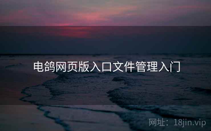 电鸽网页版入口文件管理入门