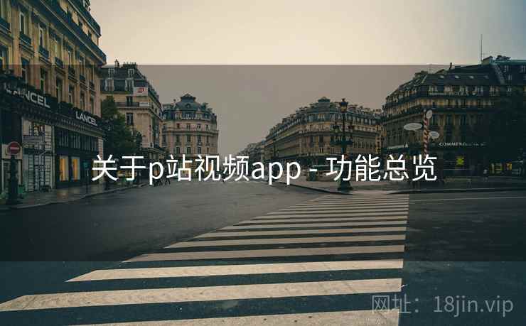 关于p站视频app - 功能总览 关于p站视频app - 功能总览